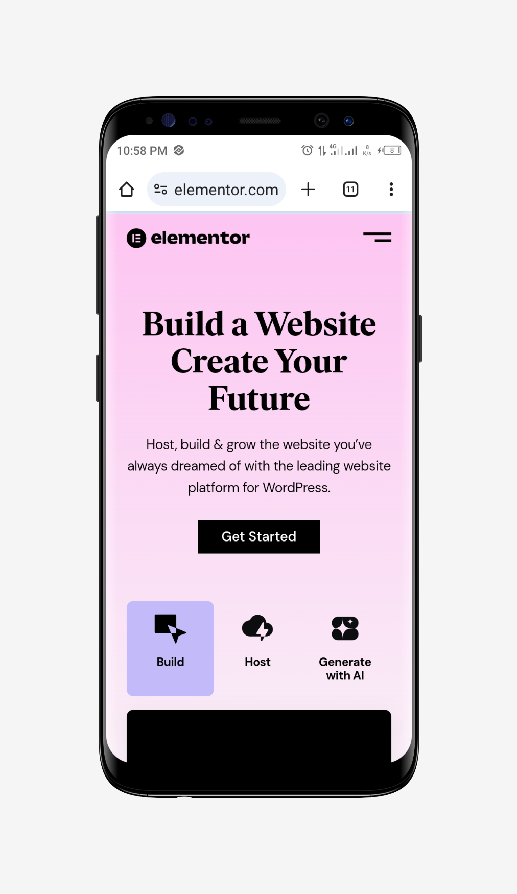 Elementor Pro